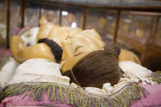 anatomicaltheatre03 anatomicaltheatre03