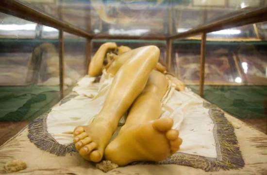 anatomicaltheatre06-1 anatomicaltheatre06-1