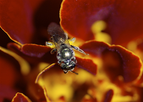 3614270233_78240b9bee