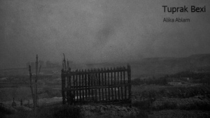 P1020580 (1800x1012)