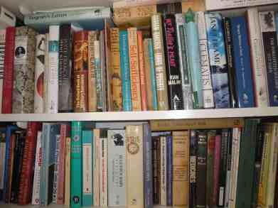 shelves-in-lounge2-copy