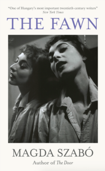 Screen Shot 2023-02-01 at 19.38.36